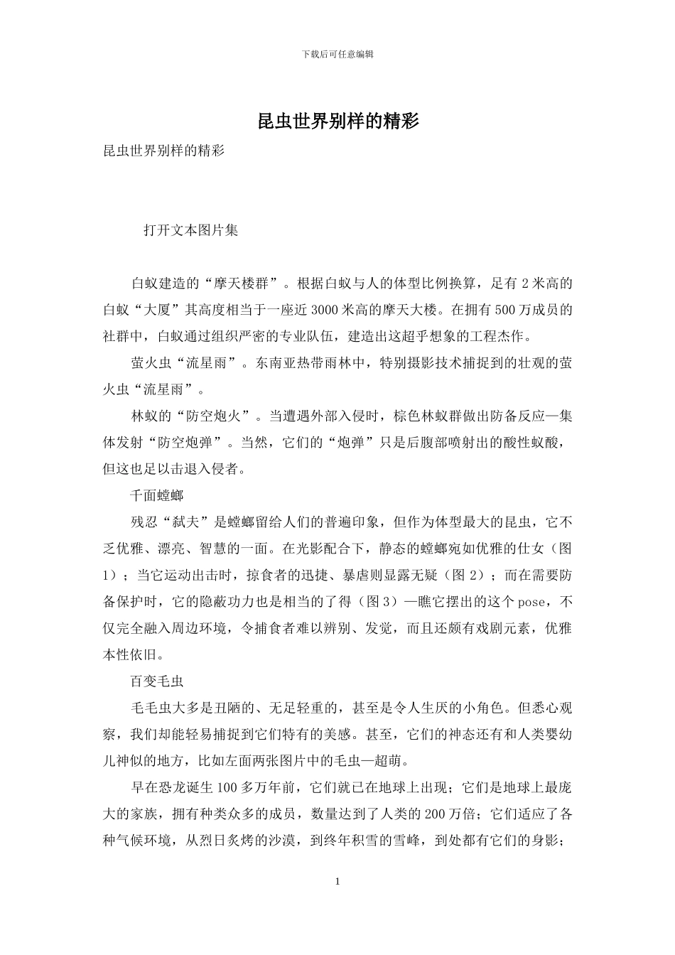 昆虫世界别样的精彩_第1页