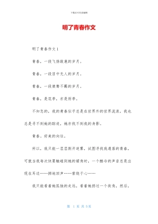 明了青春作文