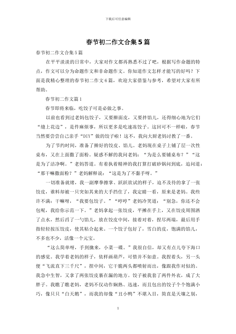 春节初二作文合集5篇_第1页