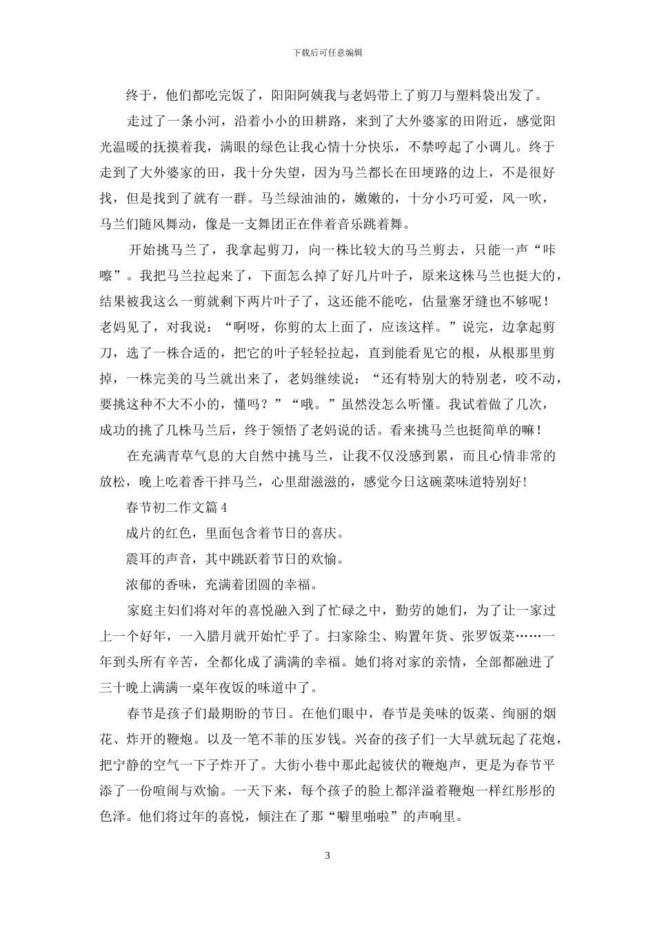 春节初二作文汇编九篇_第3页