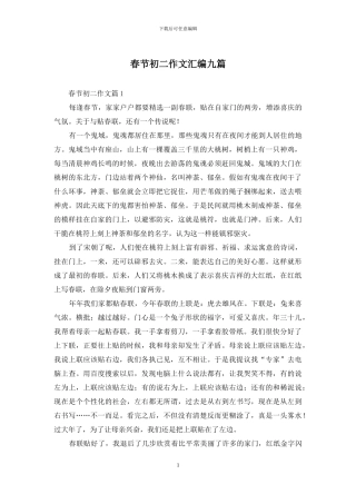 春节初二作文汇编九篇