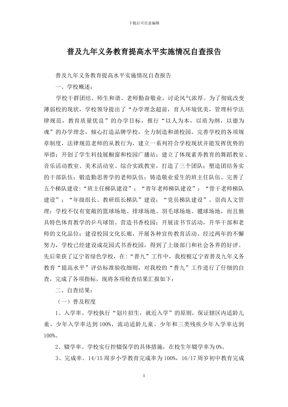 普及九年义务教育提高水平实施情况自查报告_第1页