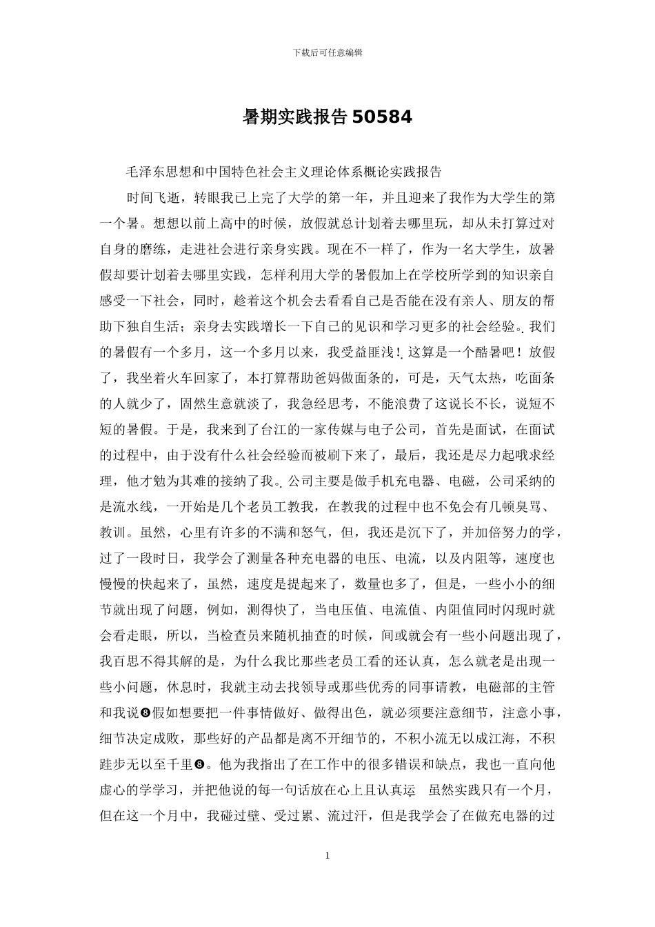 暑期实践报告50584_第1页