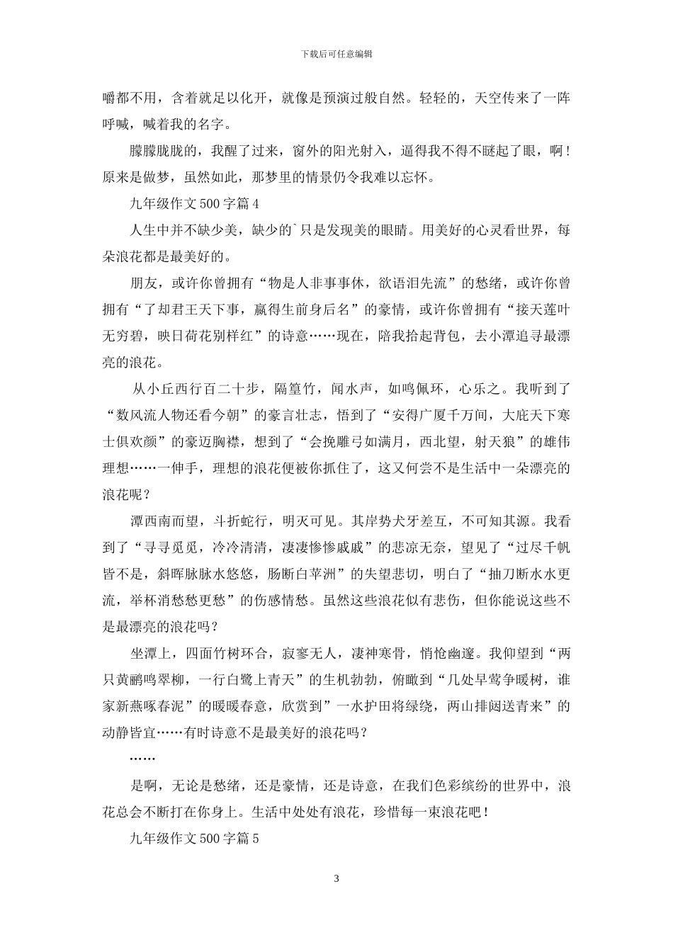 有关九年级作文500字集合七篇_第3页