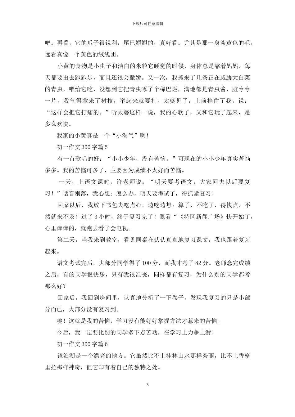 有关初一作文300字合集8篇_第3页