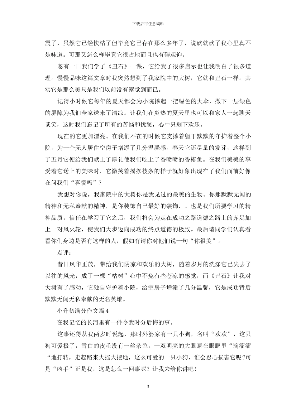 有关小升初满分作文锦集8篇_第3页