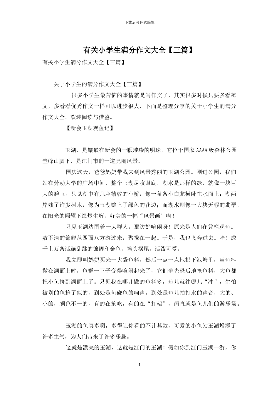 有关小学生满分作文大全_第1页