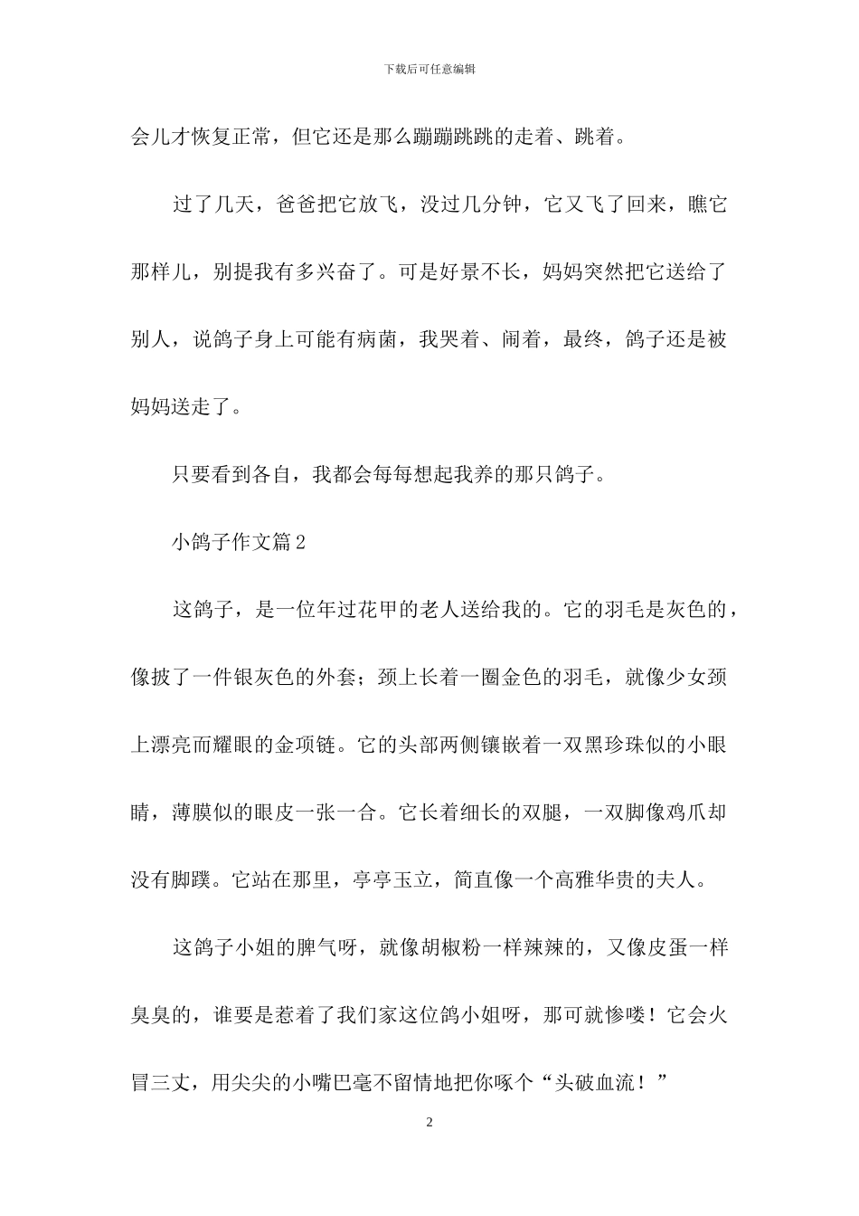 有关小鸽子作文8篇_第2页
