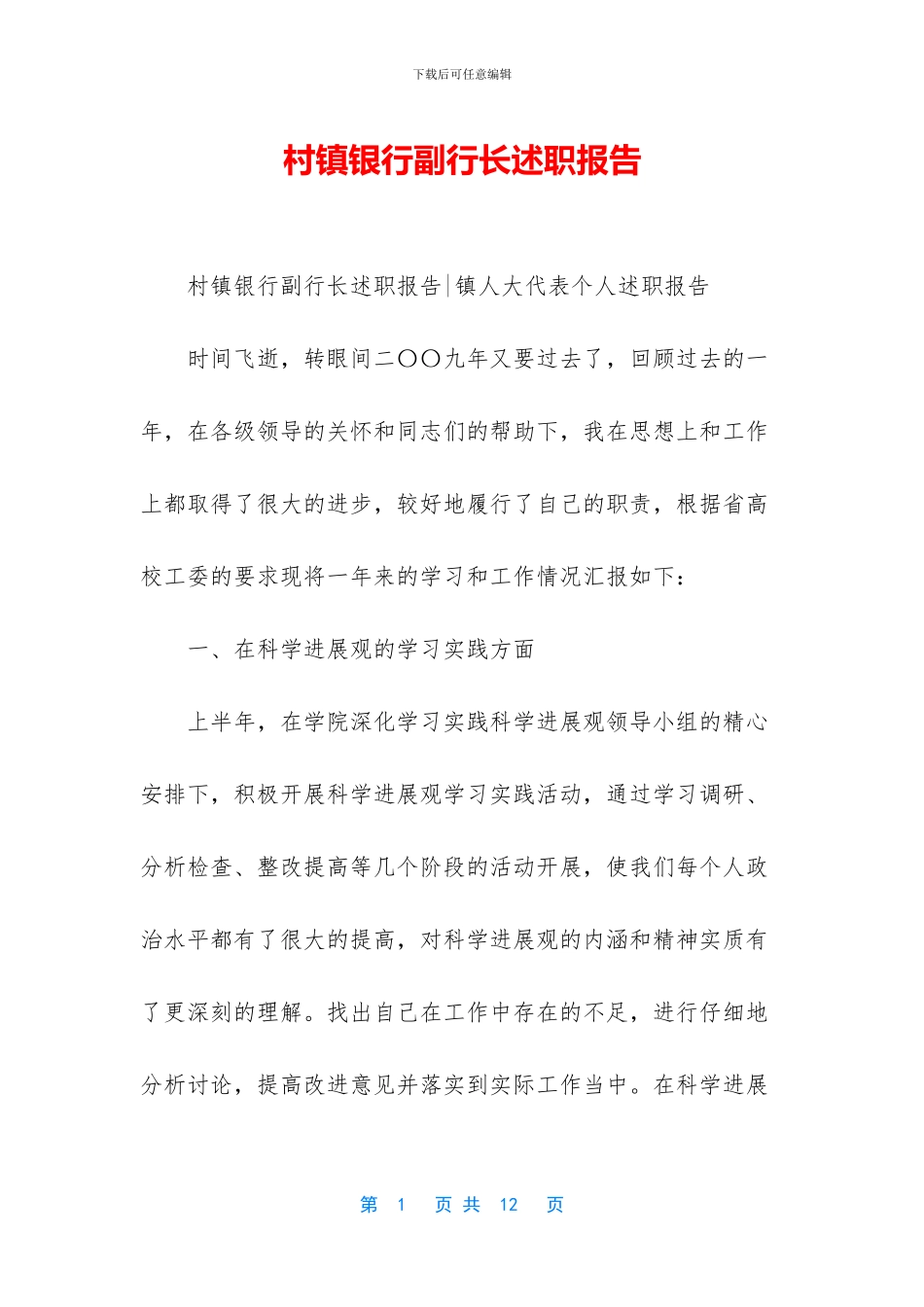 村镇银行副行长述职报告_第1页