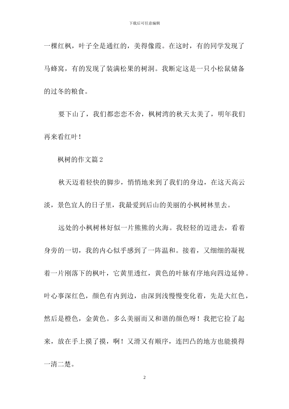 枫树的作文合集5篇_第2页