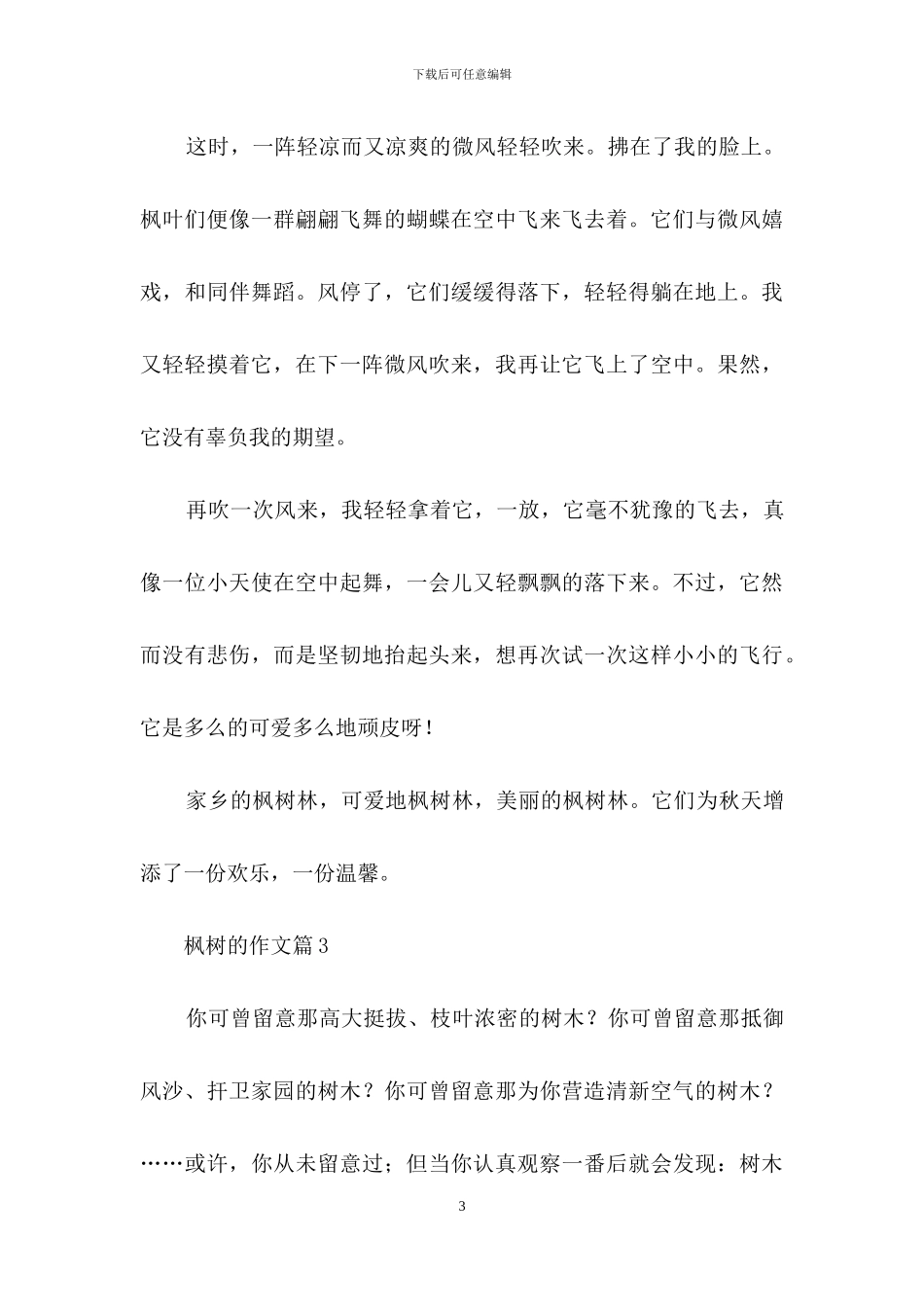 枫树的作文合集5篇_第3页