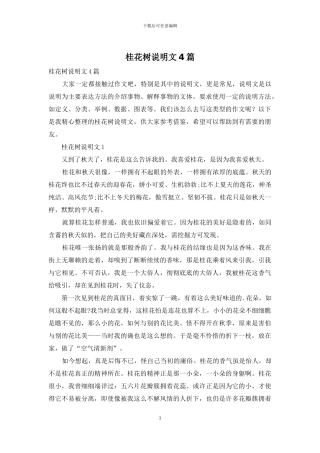 桂花树说明文4篇
