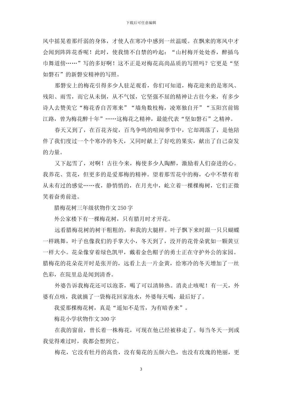 梅花礼赞作文-关于梅花的作文_第3页