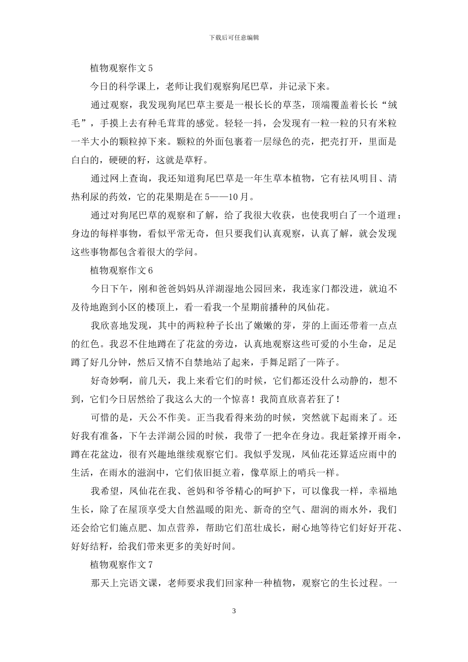 植物观察作文15篇_第3页