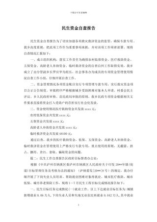 民生资金自查报告