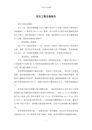 民生工程自查报告