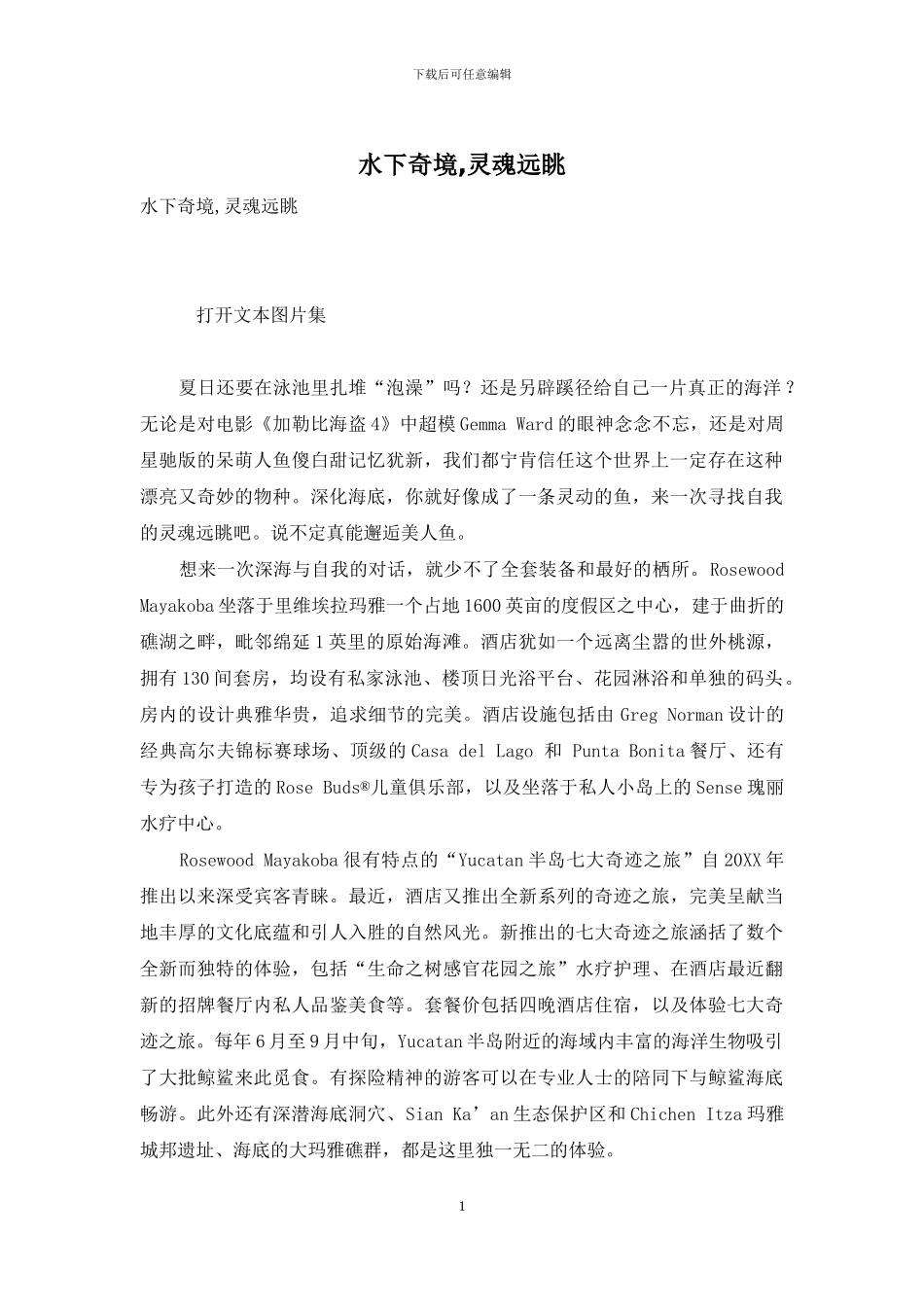 水下奇境-灵魂远眺_第1页