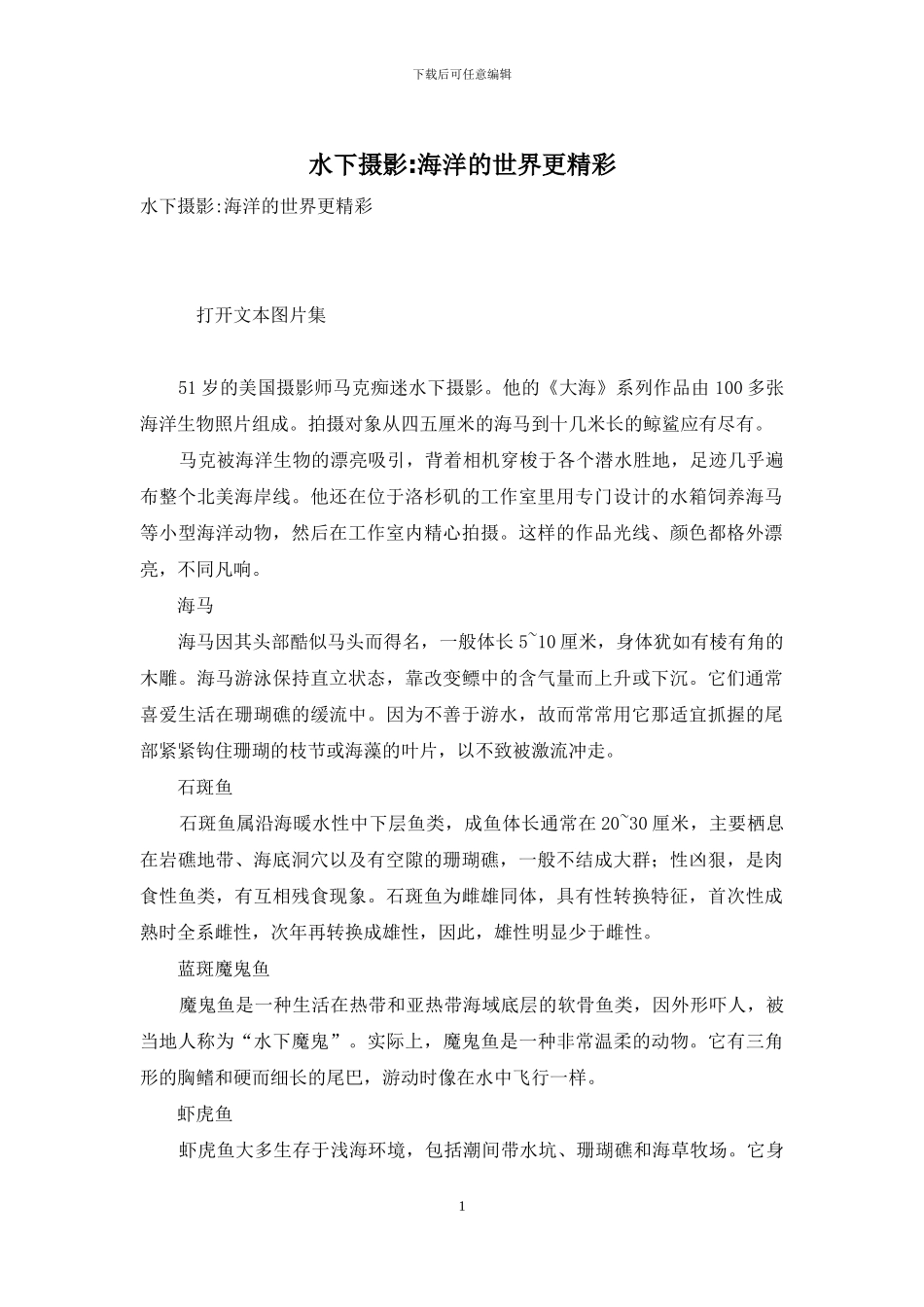 水下摄影-海洋的世界更精彩_第1页