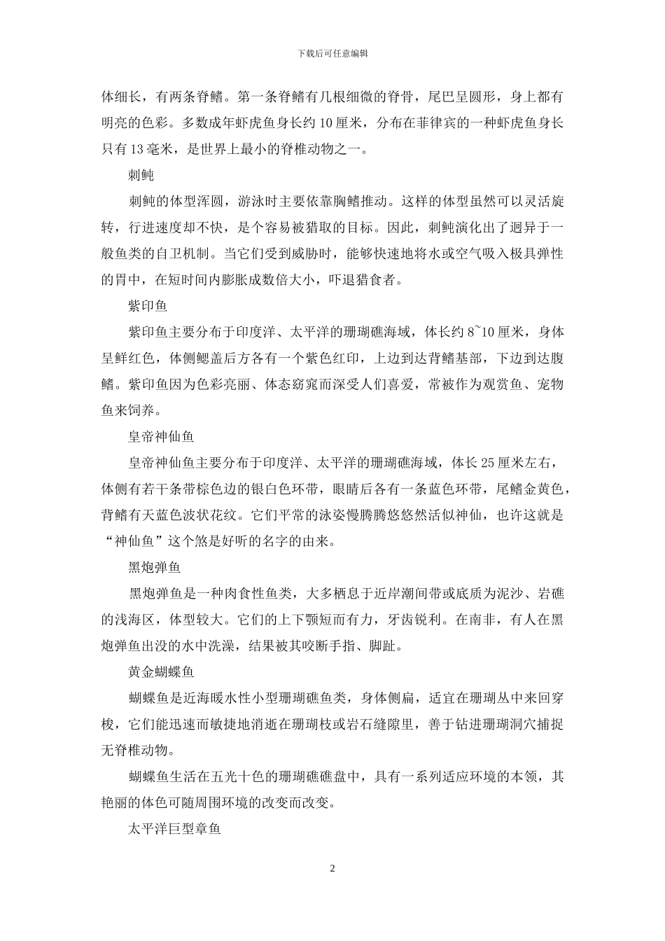 水下摄影-海洋的世界更精彩_第2页