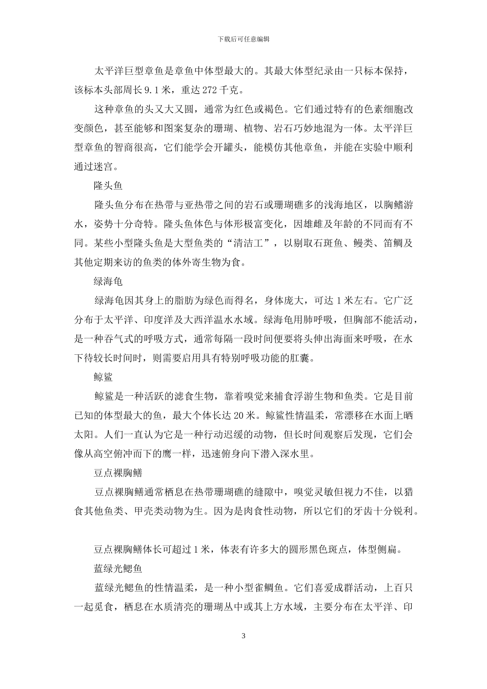 水下摄影-海洋的世界更精彩_第3页