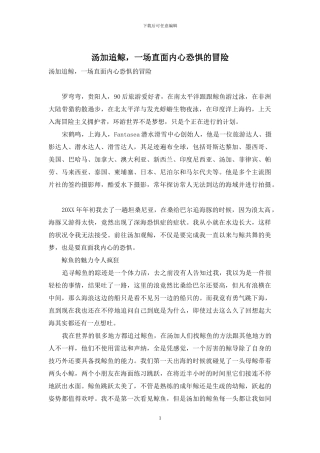 汤加追鲸-一场直面内心恐惧的冒险