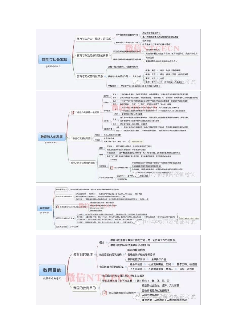 中学教育知识与能力全知识点思维导图(收藏)_第2页