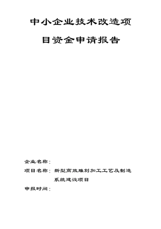 中小企业技术改造项目资金申请报告
