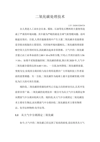 二氧化碳处理技术——王洋