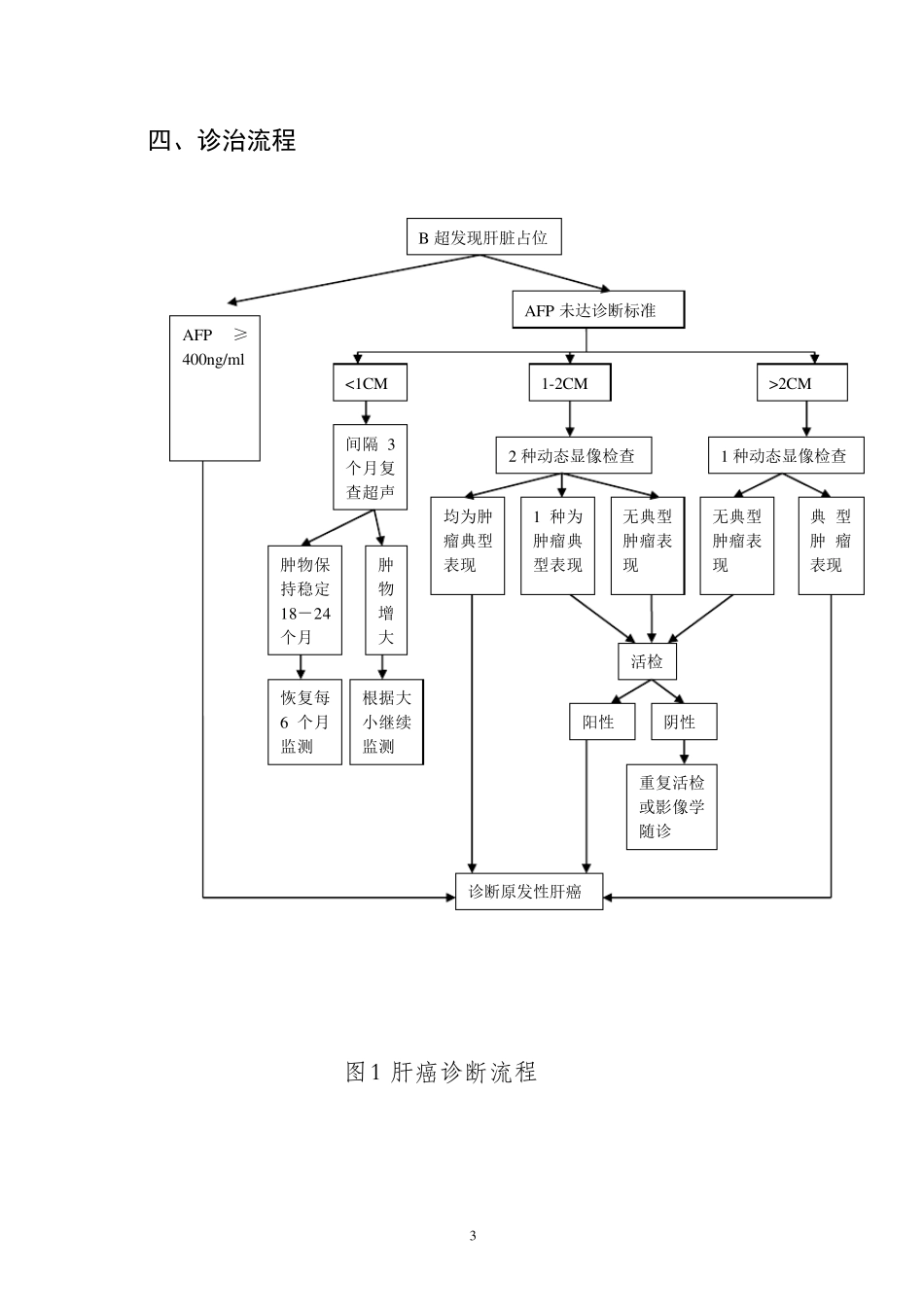 二级医院肝癌规范化诊疗指南_第3页