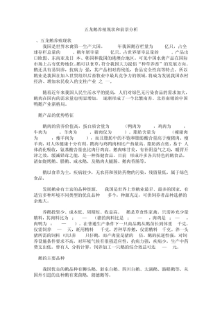 五龙鹅养殖现状和前景分析