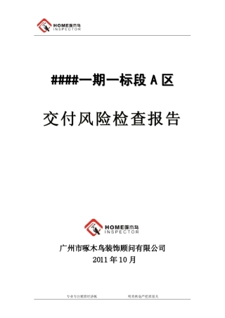 交付风险检查报告