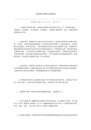 交感神经和副交感神经