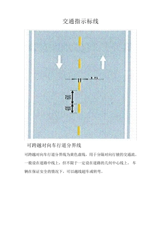 交通指示标线