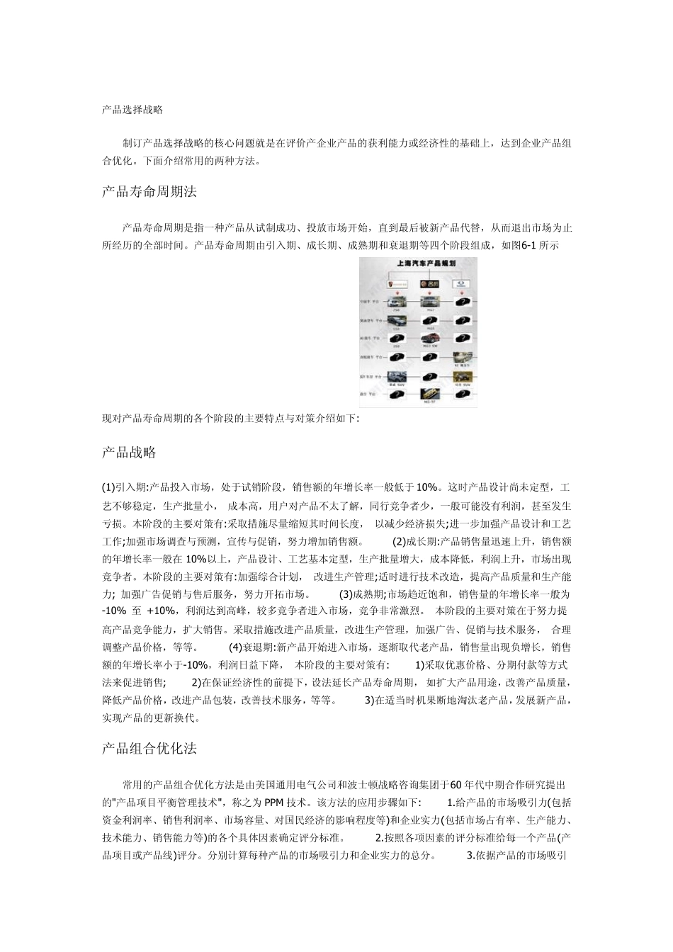 产品战略分类_第2页