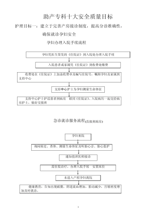 产科十大安全目标的指引与流程