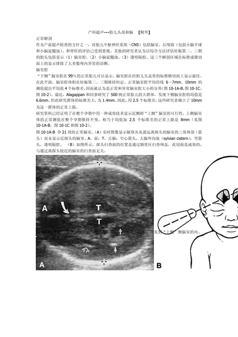 产科超声胎儿头部和脑_第1页