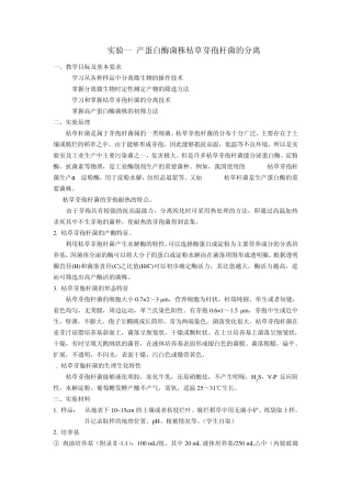 产蛋白酶菌株枯草芽孢杆菌的分离