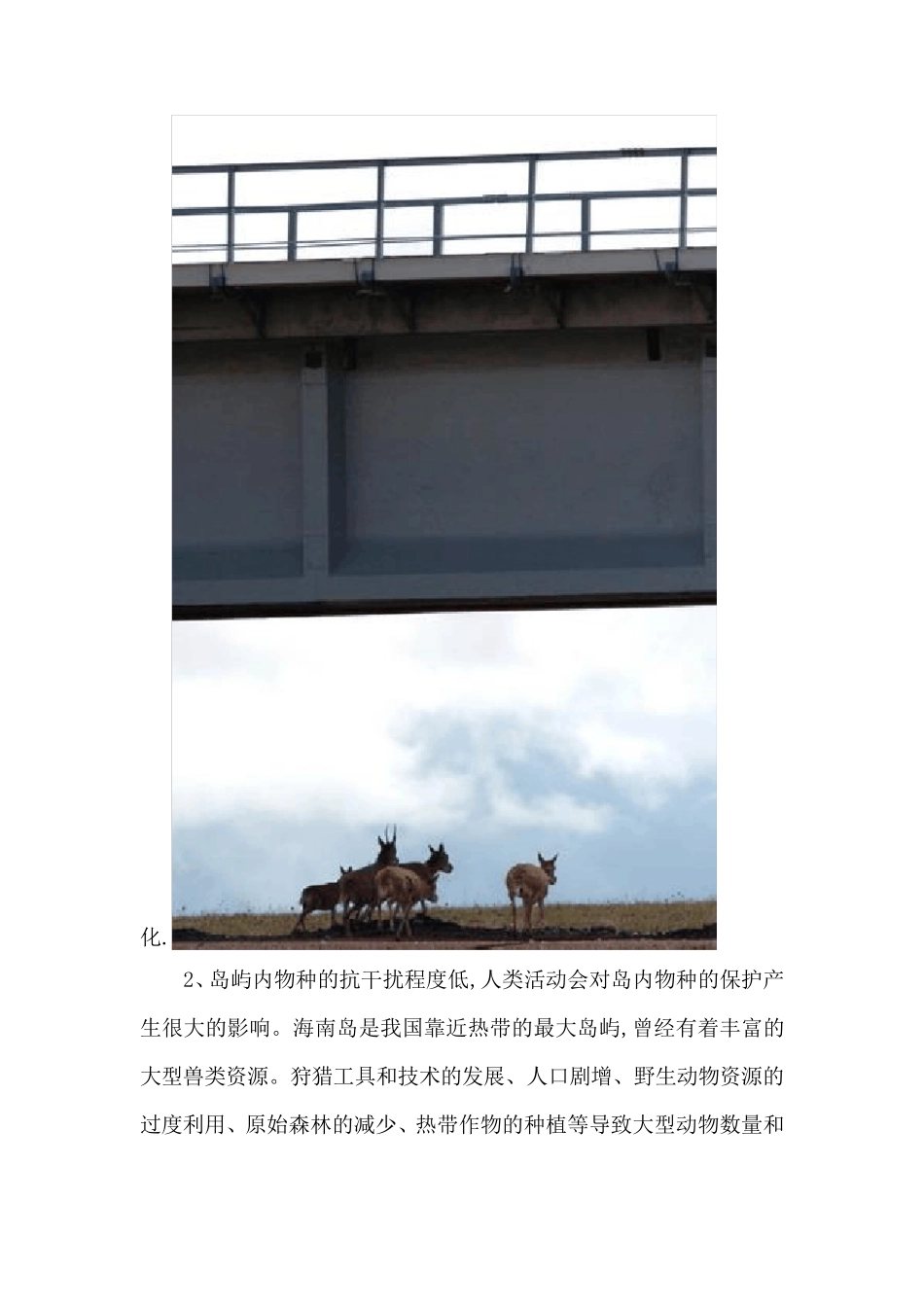 人与动物的和谐相处_第3页