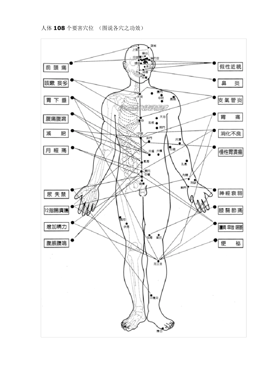 人体108个要害穴位_第1页