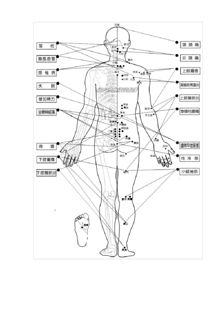 人体108个要害穴位_第2页