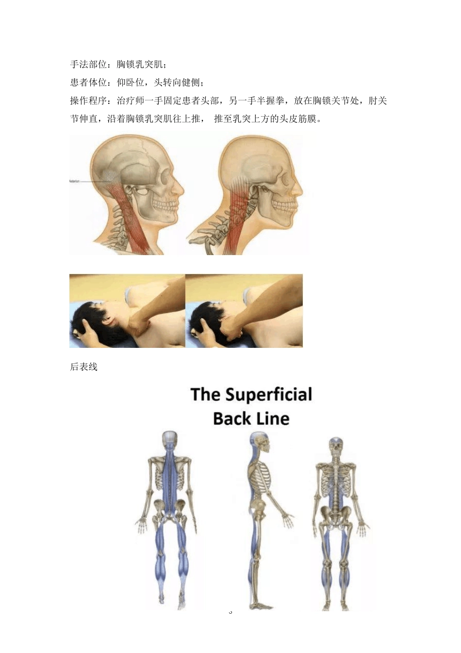 人体12条筋膜链解析及具体手法操作_第3页