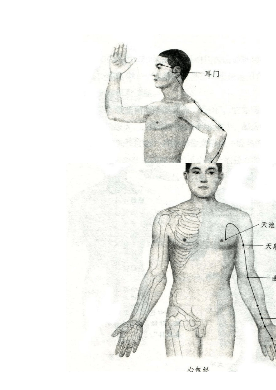 人体12经络图_第3页