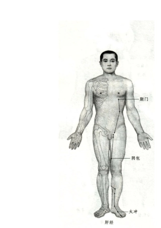 人体12经络图