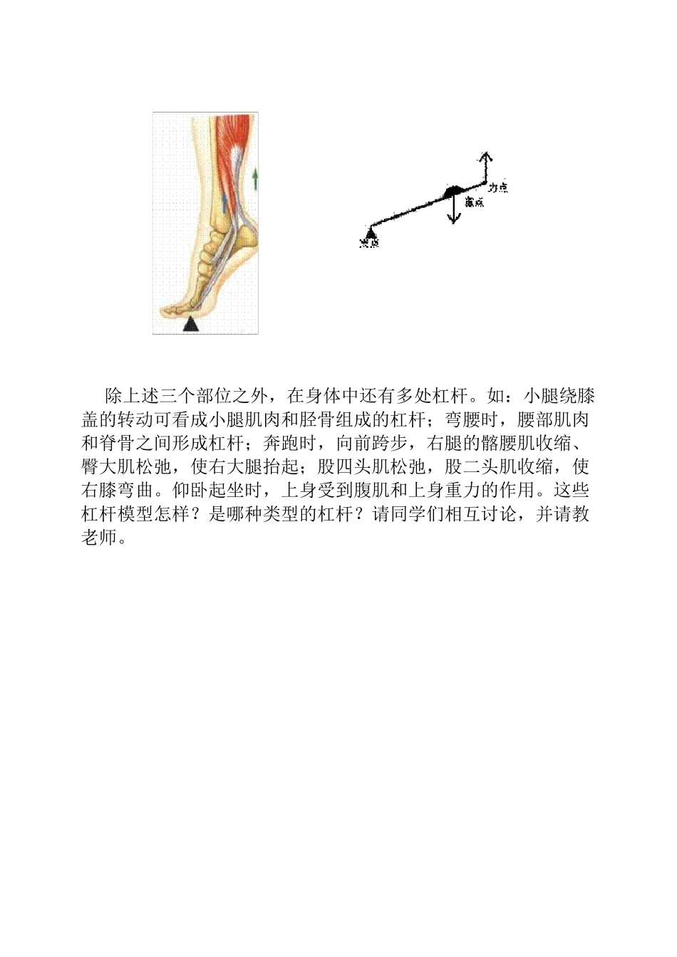 人体中的杠杆_第3页