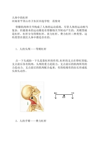 人体中的杠杆