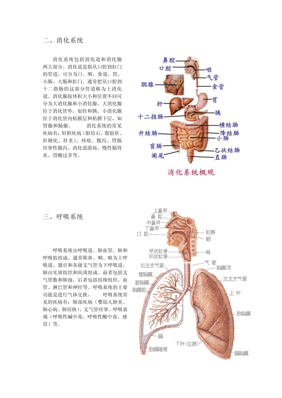 人体九大系统_第2页