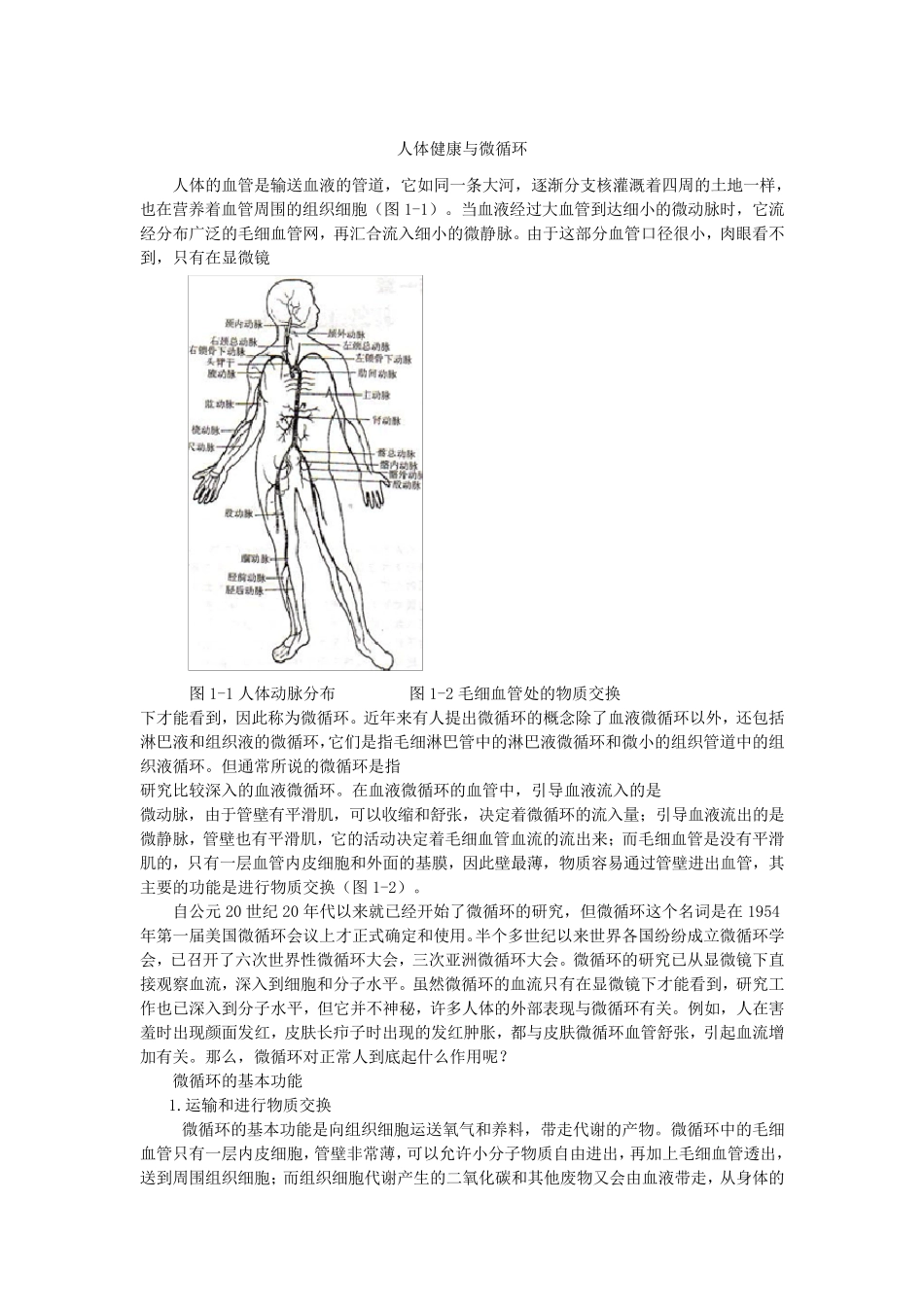 人体健康与微循环_第1页