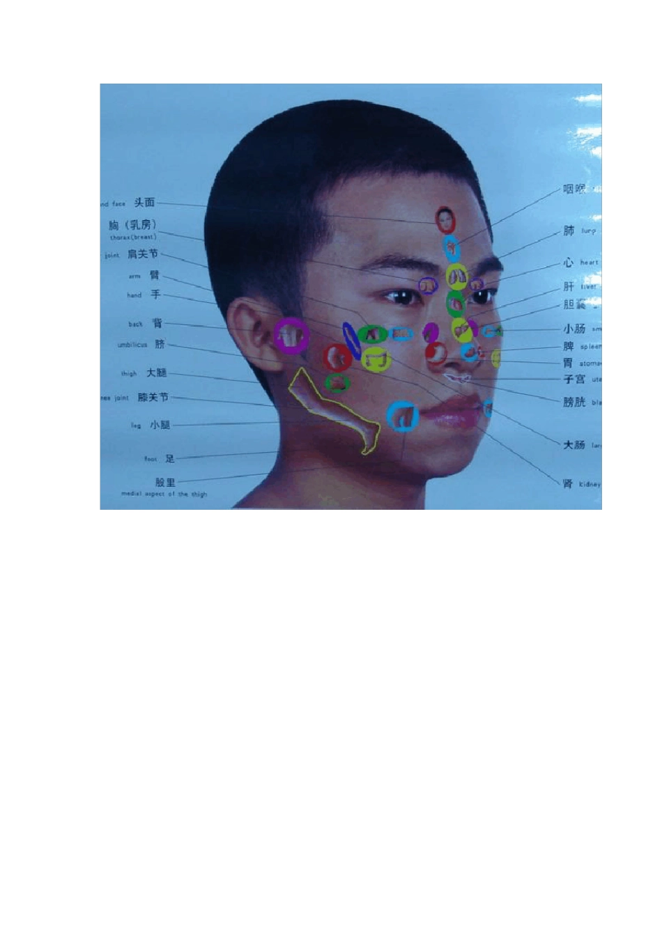 人体全息图——手诊面诊_第2页