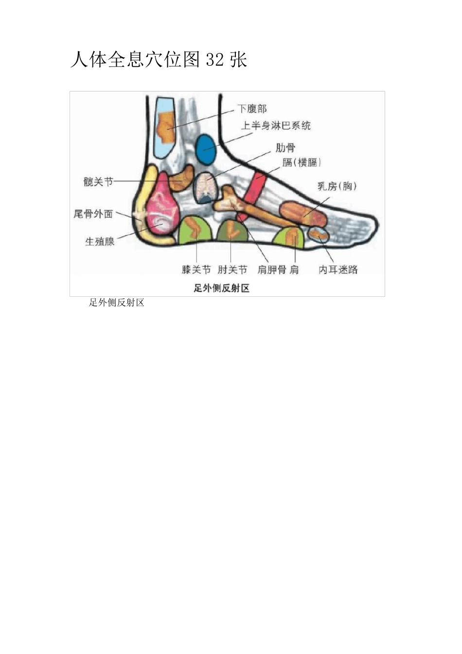 人体全息穴位图32张_第1页