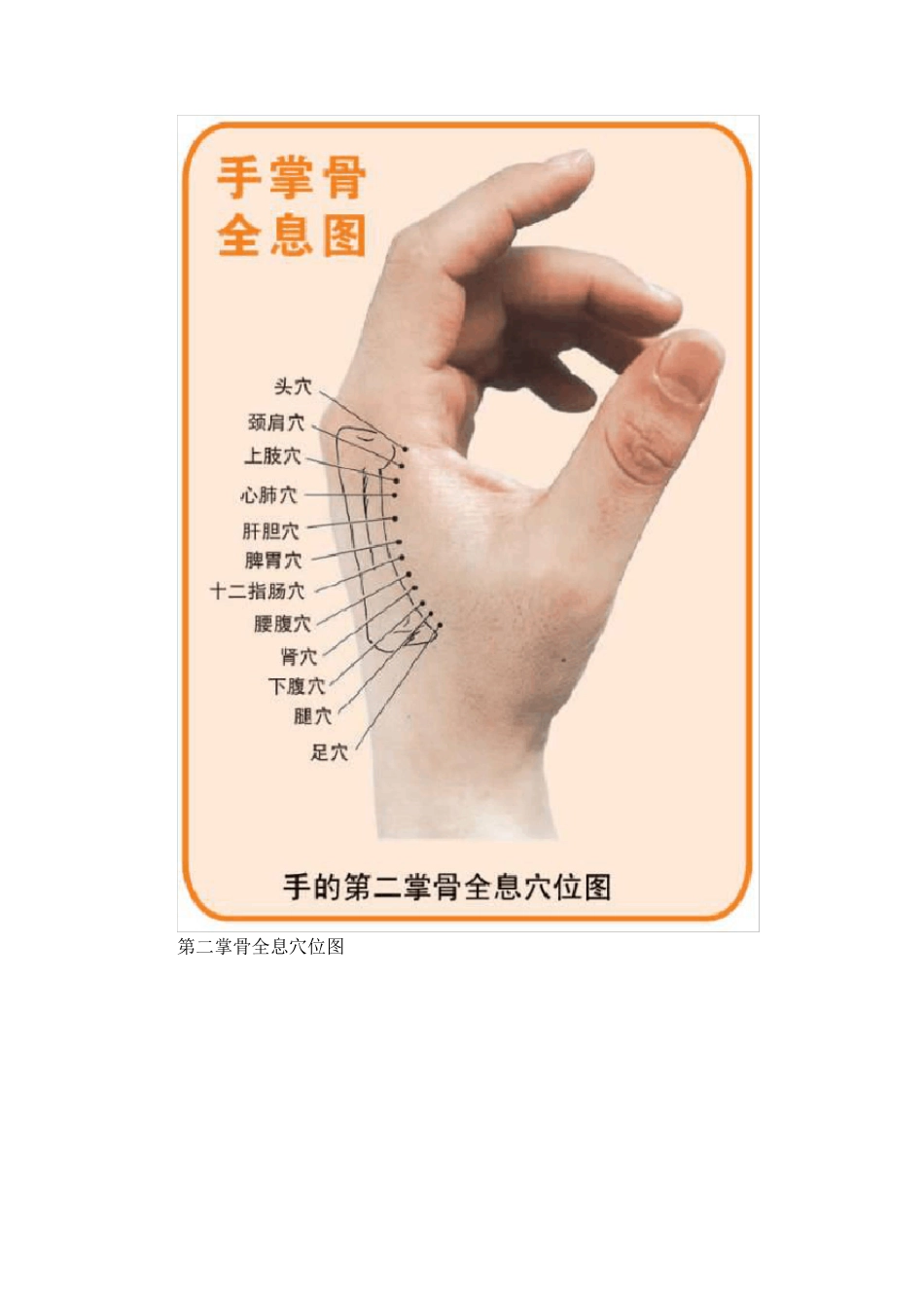 人体全息穴位图32张_第2页
